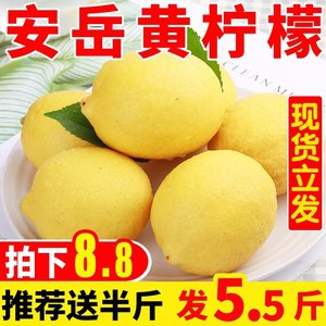 安岳黄柠檬5.5斤   