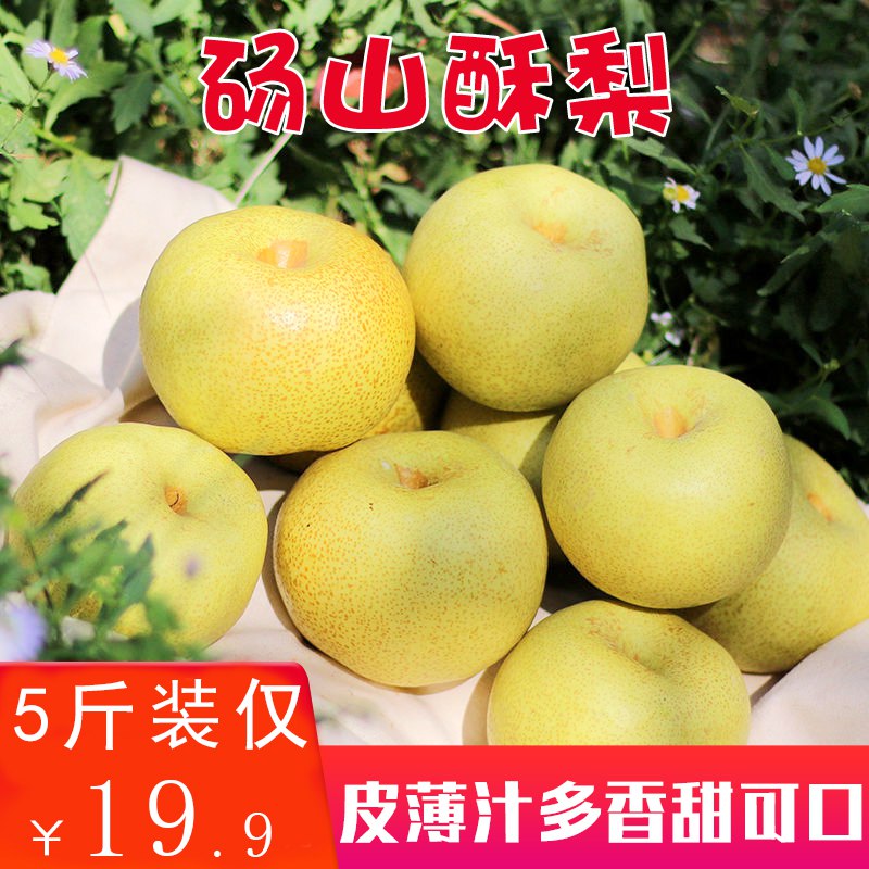 砀山新鲜酥梨5斤14.9   