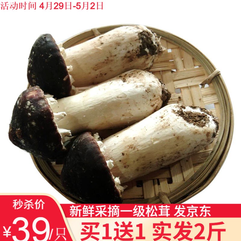 新鲜采摘松茸买一送一，叠加秒杀满减，两斤只要29！