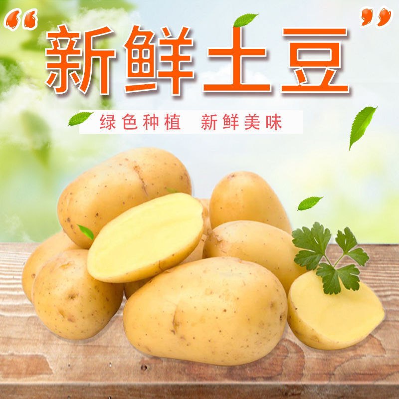 5斤/10斤装土豆马铃薯洋芋黄心特价精品土豆现挖批发新鲜蔬菜批发2.9元