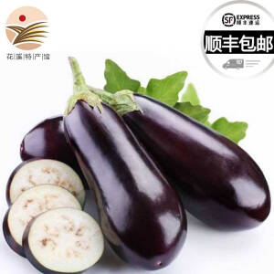 【顺丰包邮】新鲜蔬菜长茄子5斤装 券后19.8