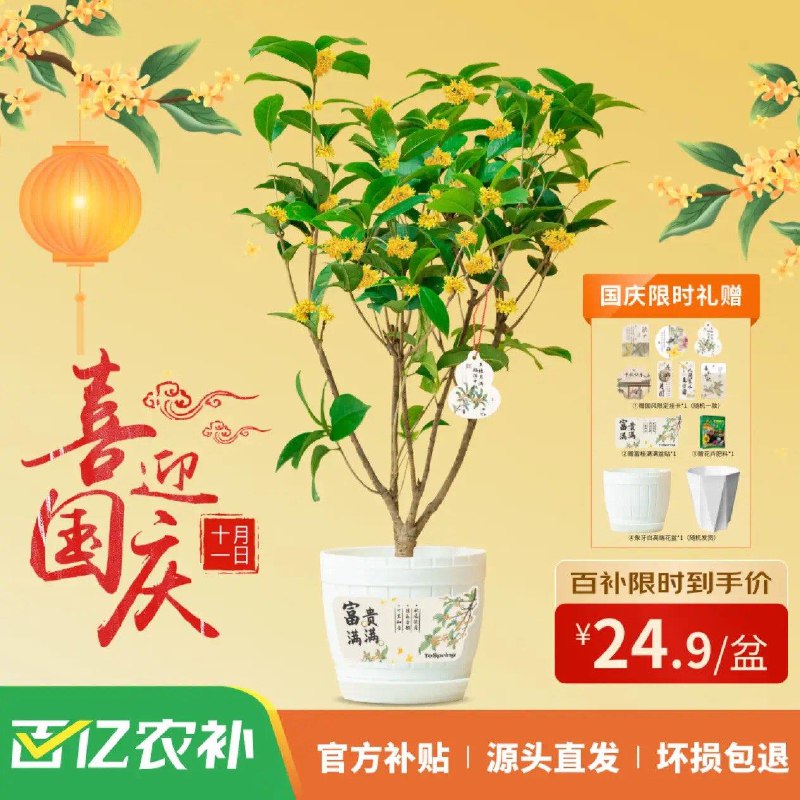 百亿补贴24.9亓京东鲜花秋季桂花树盆栽