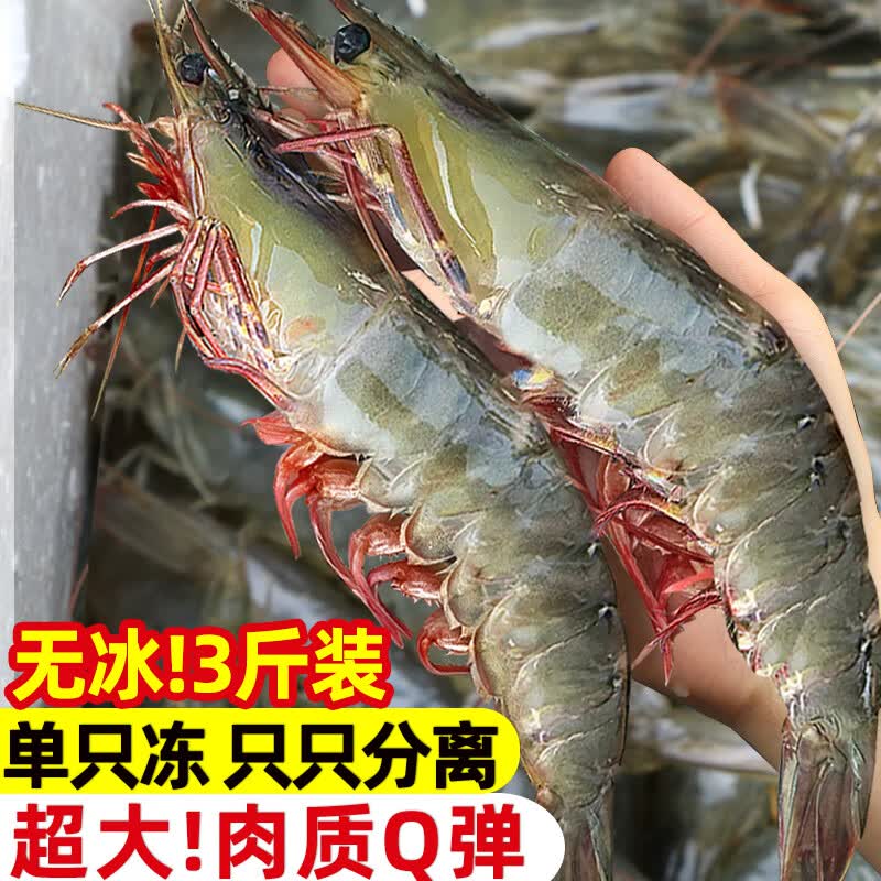 东上御品 国产特大虾净重3斤19.9/斤！！拍下【59.9元】