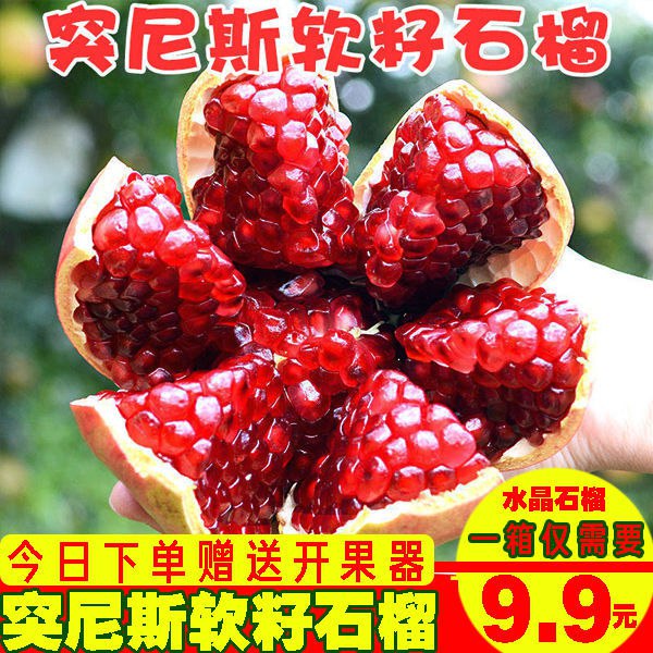 【9.9抢大果一箱】四川会理突尼斯软籽石榴 青皮水晶石榴新鲜水果【8月10日发完】5.9元
