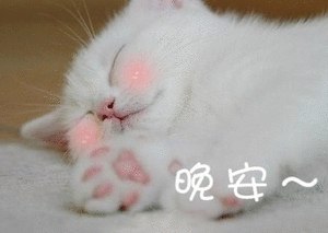 近期有群友问高钙奶粉~发了三款自己看看~都是品牌~自己挑挑呗~今晚就到这里啦，早起的群友可以爬楼看看，休息啦，晚安~明早见~