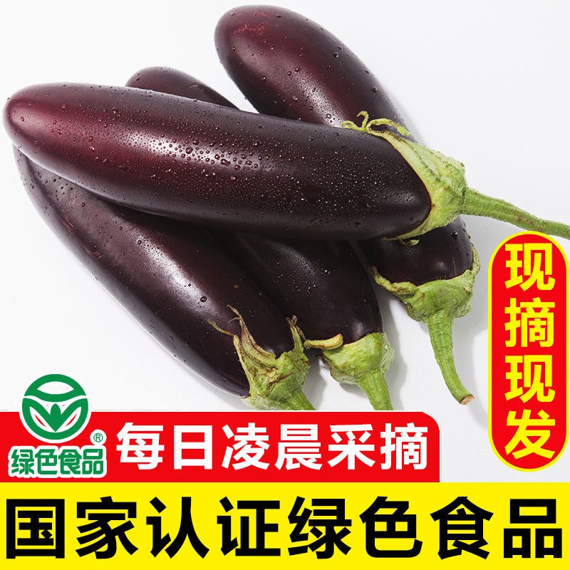 湖南洞庭农家紫色长茄子大茄子农家自种现摘当季新鲜蔬菜整箱包邮8.9元