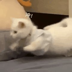 [CQ:at,qq=all] 日常艾特今晚零点车更新的差不多了，爬楼到23点20分左右看看好价记得先领券，0点后下单价格才对