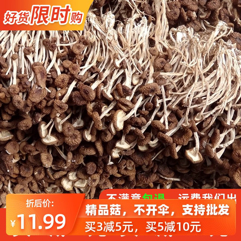 0点 广昌茶树菇干货100g  