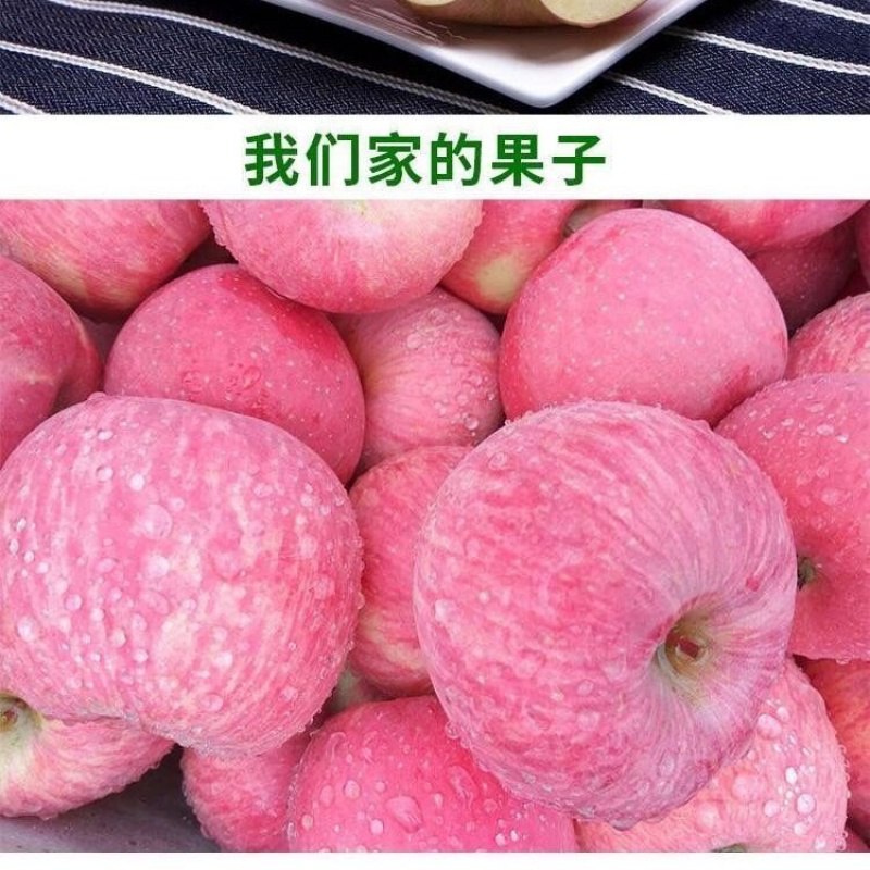 红富士苹果10斤26.9