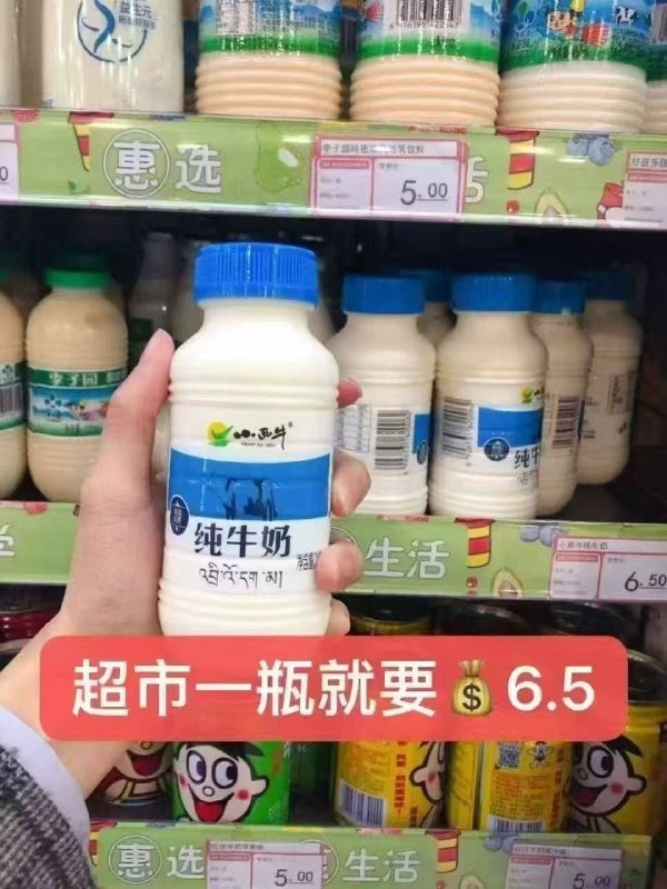 新日期！折一瓶才2.1亓！小西牛.高原 纯牛奶12瓶如图去首页❗💰25.3亓