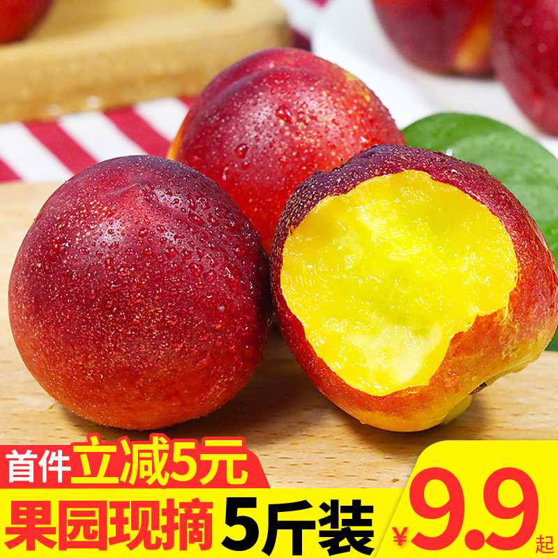 9.9元【红宝利旗舰店】新鲜当季黄心油桃净重5斤(WCWrXiTujqB)/