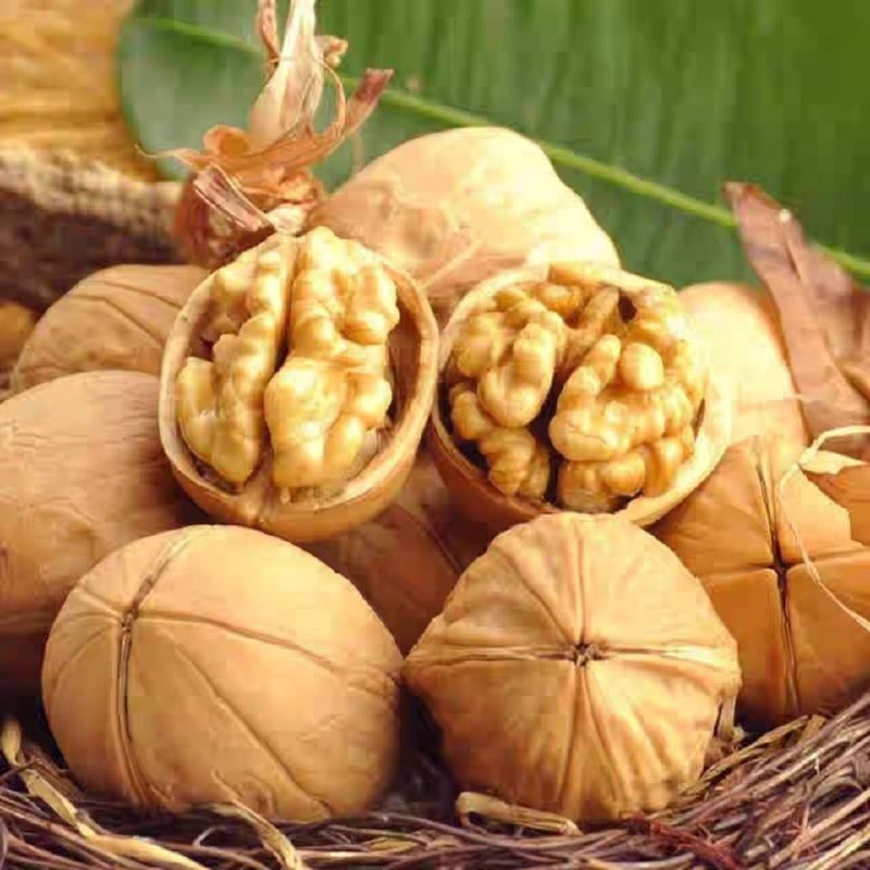 新疆特产薄皮核桃生核桃500g坚果零食买两份送夹子，2.32元