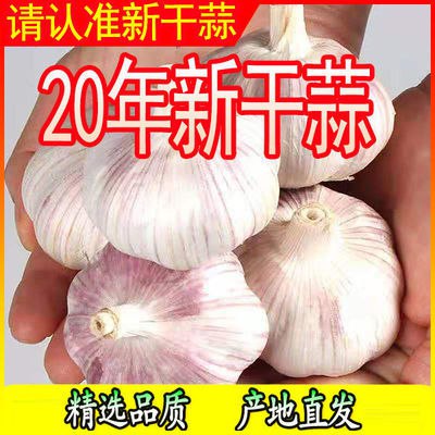 5斤干大蒜大蒜头农家干蒜批发干大蒜2/3/10斤紫白皮大蒜8.9元