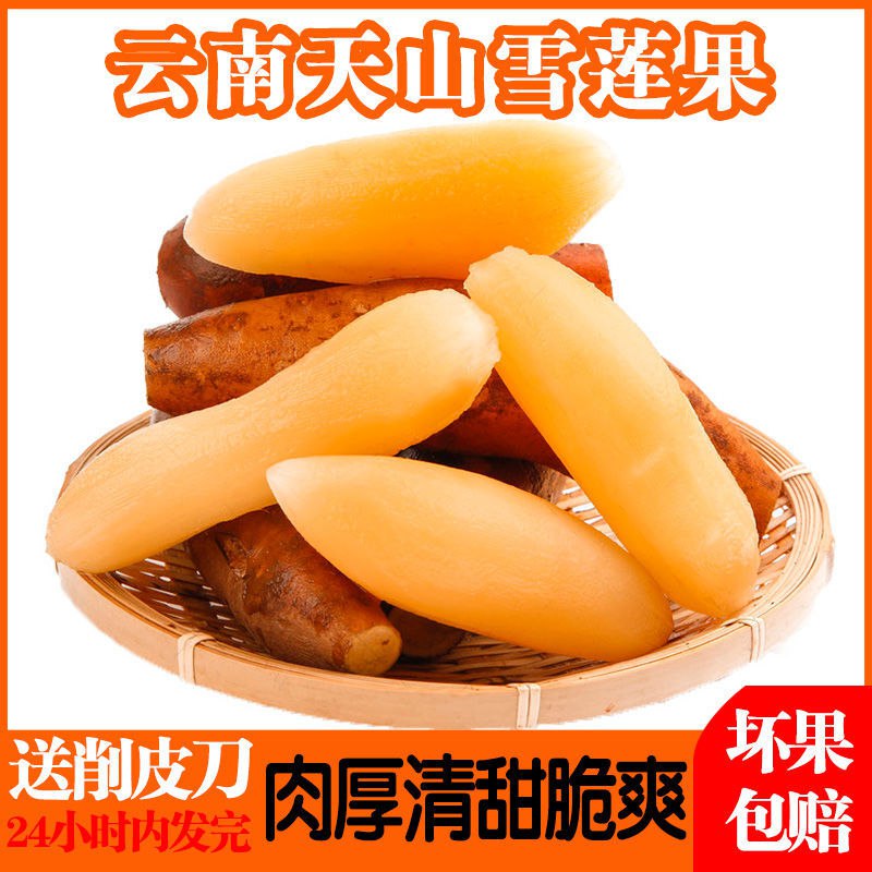 云南天山红心雪莲果10斤当季新鲜水果黄心9/5/3斤装包邮现挖现发，0.9元