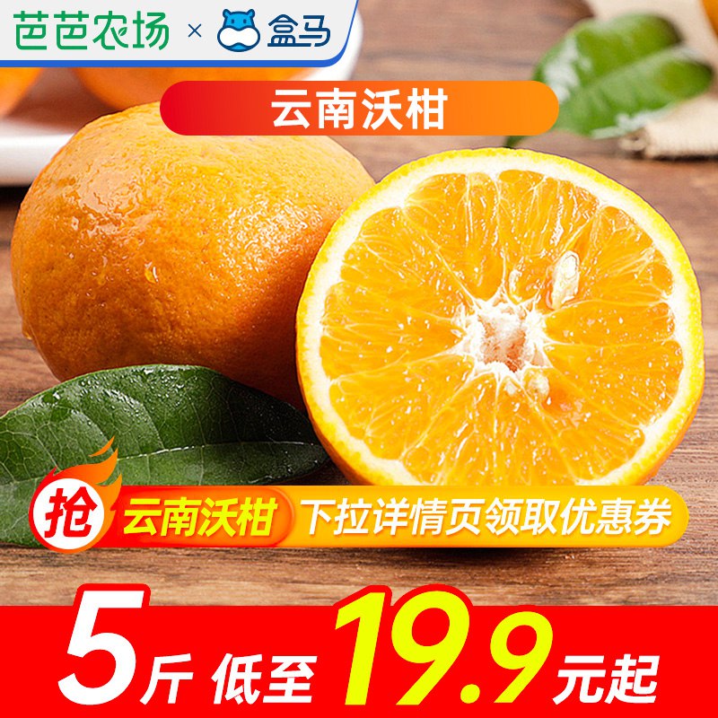 19.9元 盒马官方旗舰店云南当季新鲜纯甜沃柑5斤装￥fZwa2SbIemc￥/