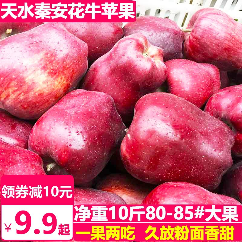 19.9元 天使芳菲旗舰店甘肃天水秦安花牛苹果8.5斤(PV3TXdryDyY)/